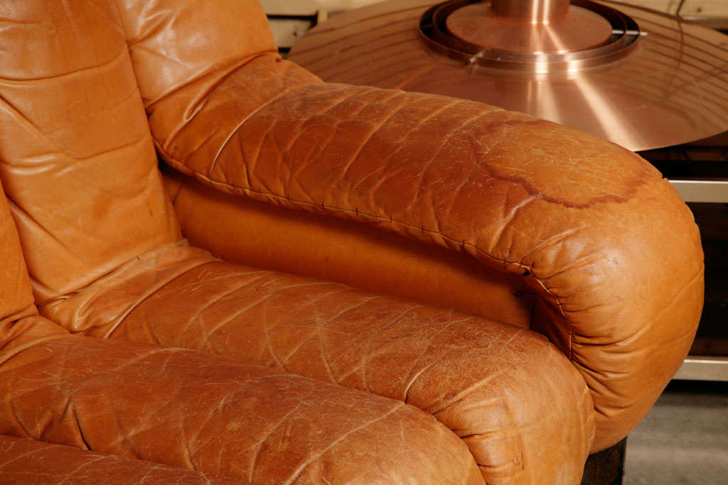 De Sede ds600 endless sofa 4
