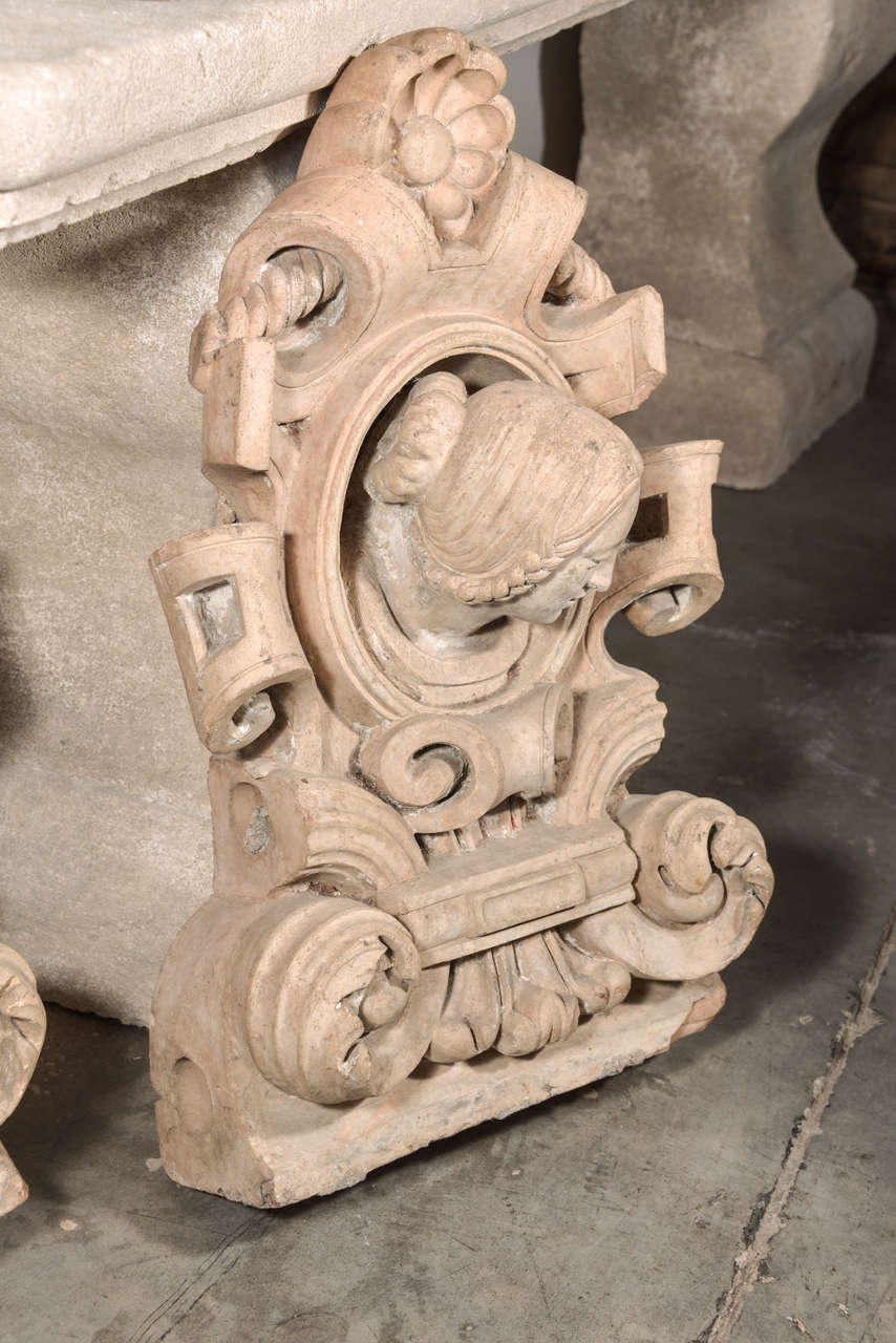 19th Century Magnificent Pair of Antique French Terra Cotta Architecturals