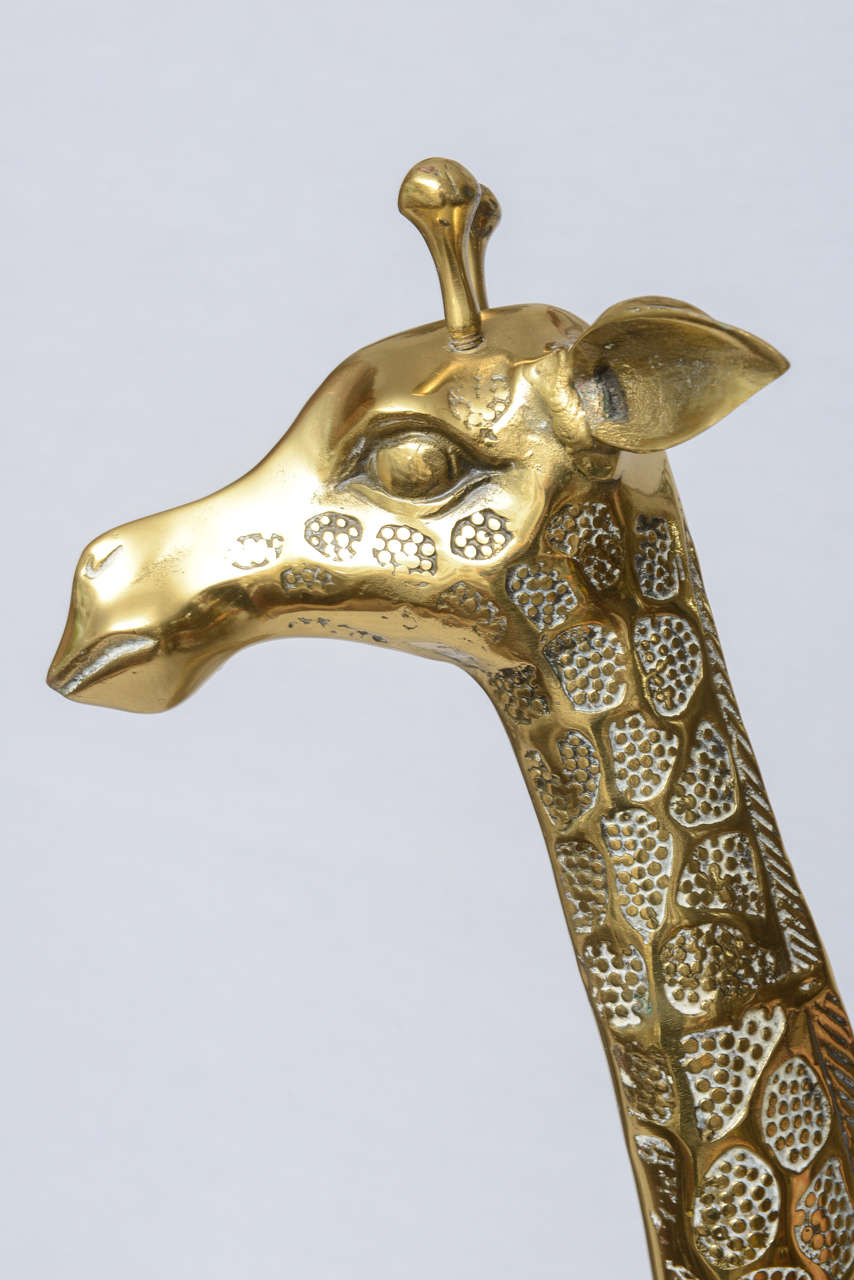 Large Brass Giraffe 4