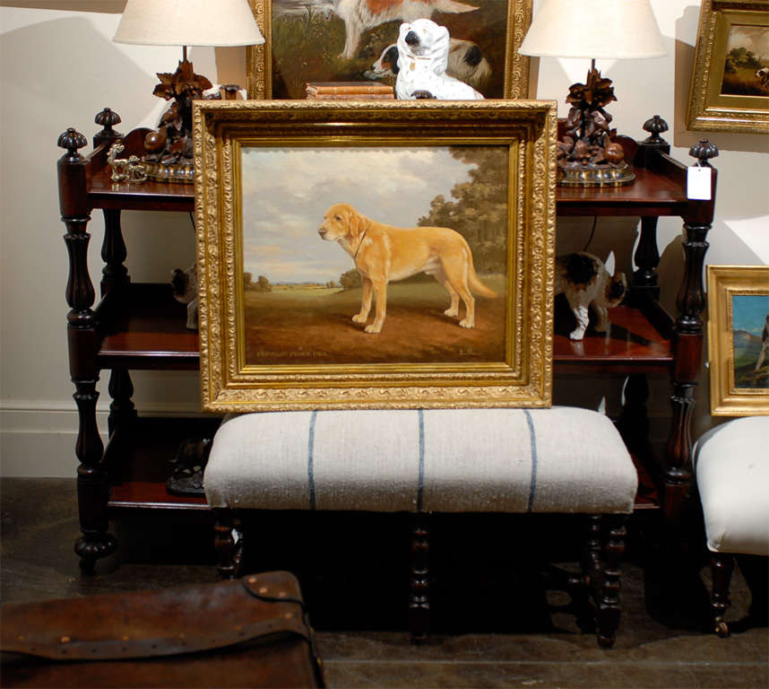 A 1940s oil painting of a sporting dog by British artist Stan O'Connor set in a giltwood frame. This oil painting of a sporting dog is framed in a stately giltwood frame with moldings and carved rolling acanthus leaves. Painted and signed by the