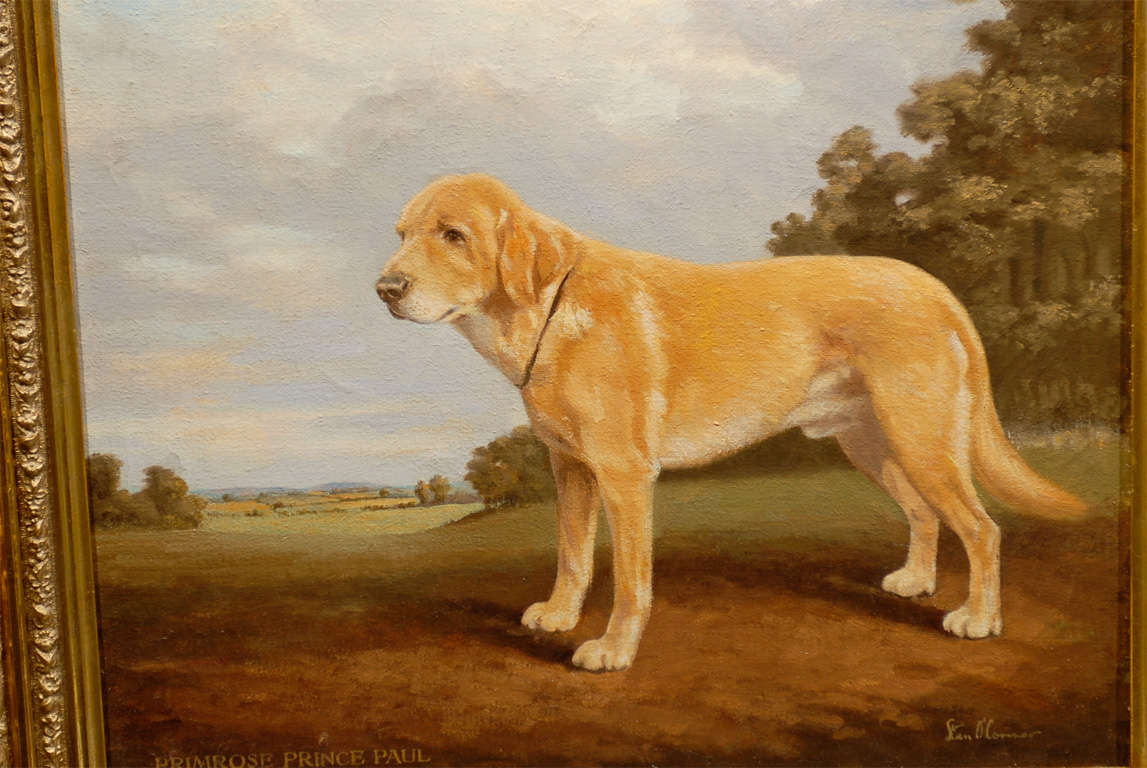 English Oil Painting of Sporting Dog Signed by British Artist Stan O'connor 1