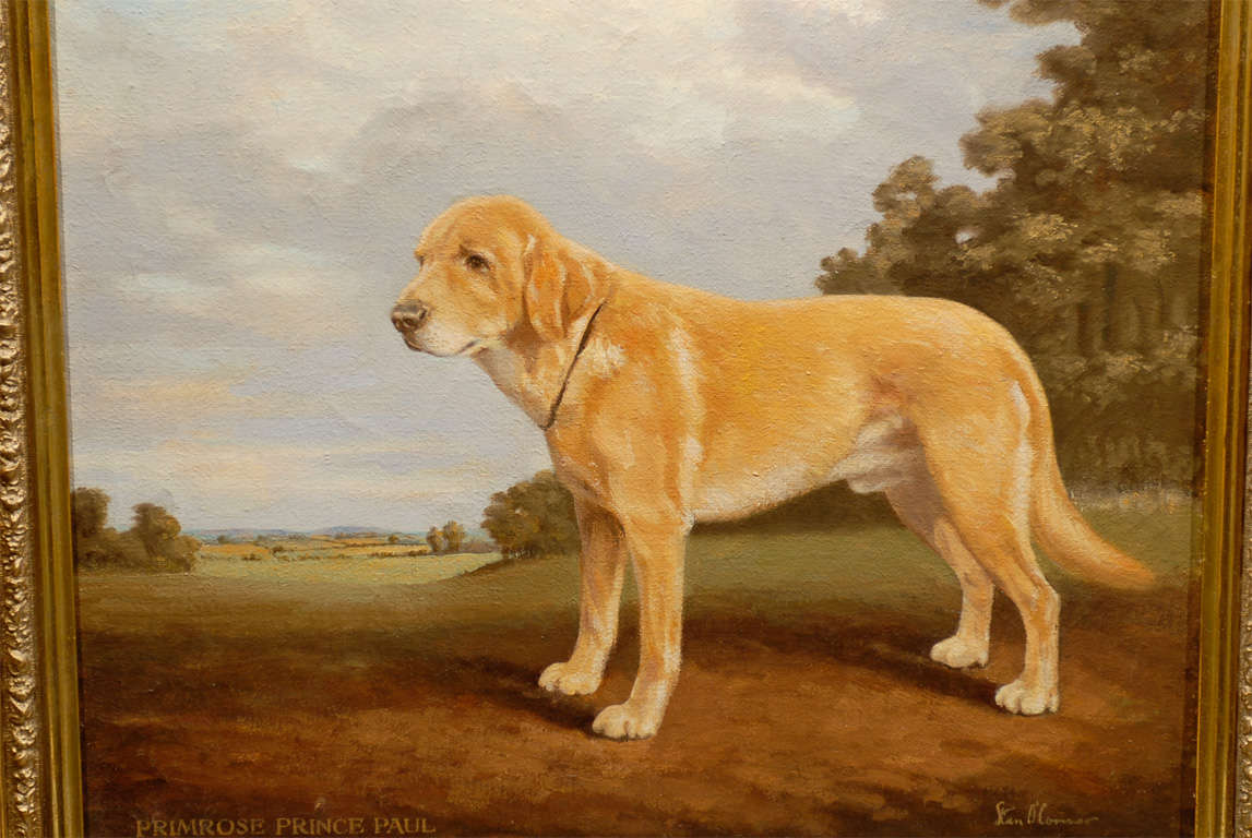 English Oil Painting of Sporting Dog Signed by British Artist Stan O'connor 4
