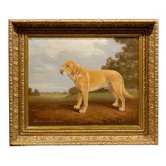 English Oil Painting of Sporting Dog Signed by British Artist Stan O'connor