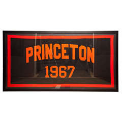 Framed  Princeton  Banner