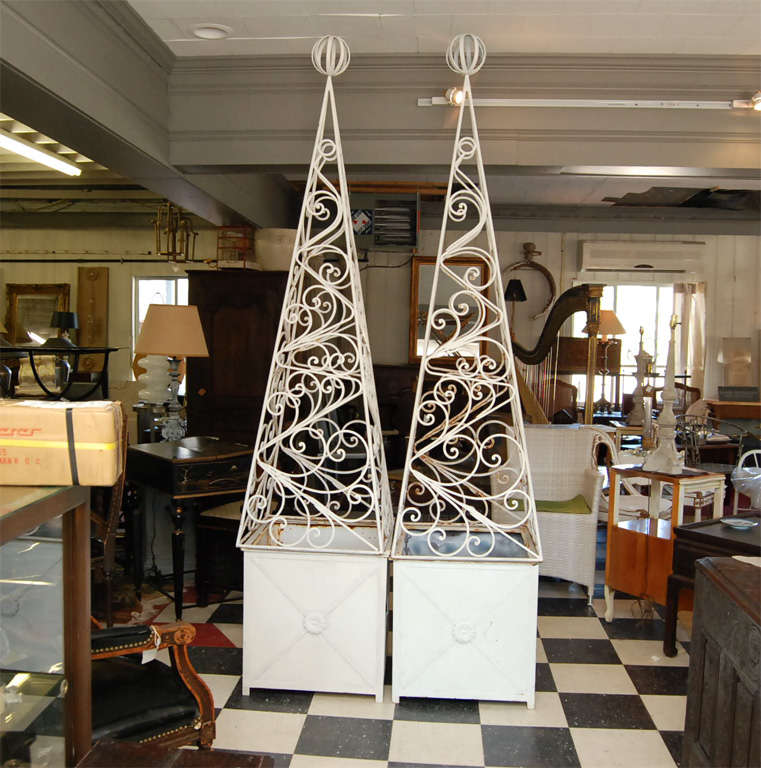 Pair of French Topiaries