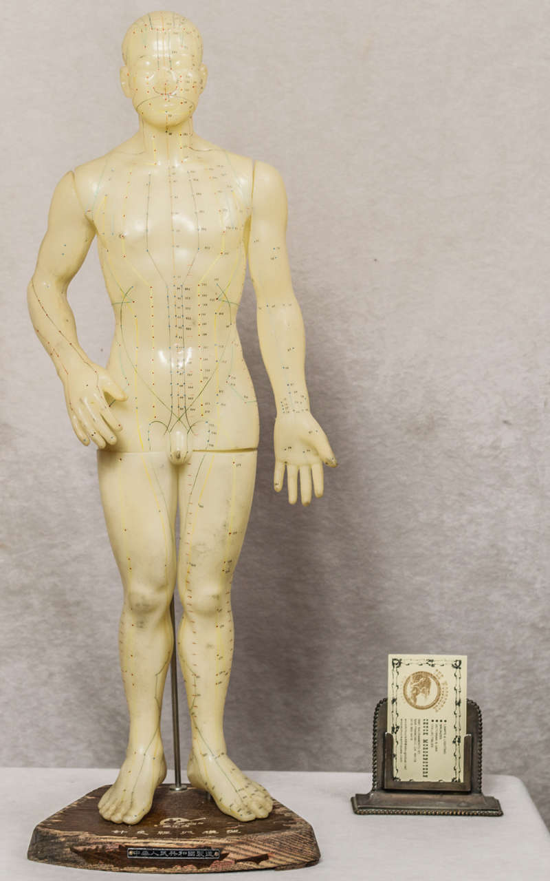 Well, here's something we've never seen before, so we had to buy it.  This very unusual rubber model of a man points out all the acupuncture points.  It is mounted on a wooden base with some Chinese characters.  It's really quite impressive and