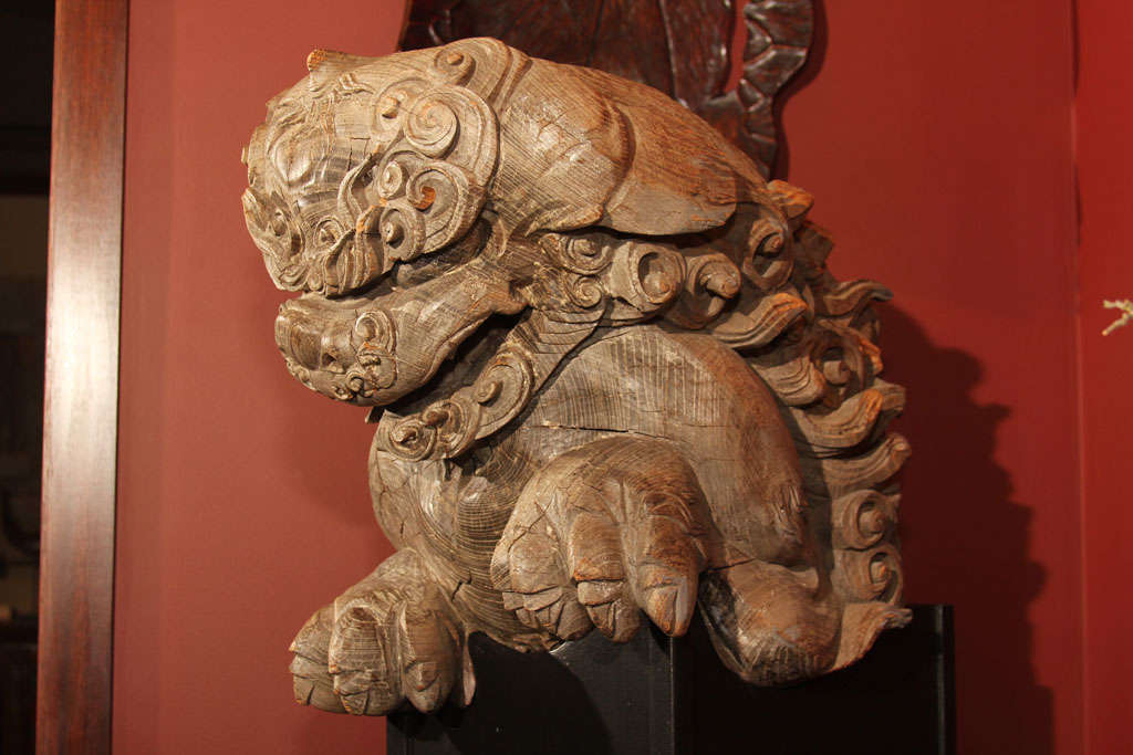 Large Japanese Lion Dog Architectural Carving 1