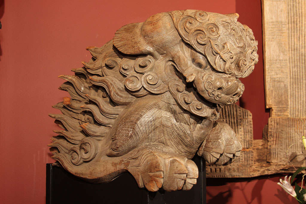 Large Japanese architectural carving in the form of a shishi, or lion dog. Carved from the exposed end of a structural beam, the figure was one of two lion dogs, or karashishi, which stood guard beneath the eaves of a Buddhist temple or Shinto