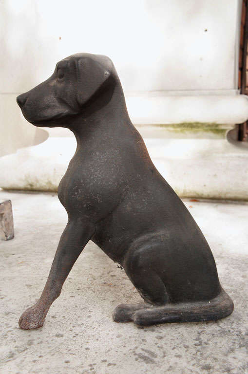 American A Beautiful Pair of Vintage Cast Iron Labrador Pup  Andirons