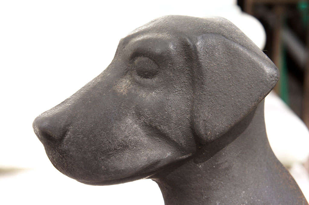 A Beautiful Pair of Vintage Cast Iron Labrador Pup  Andirons 2