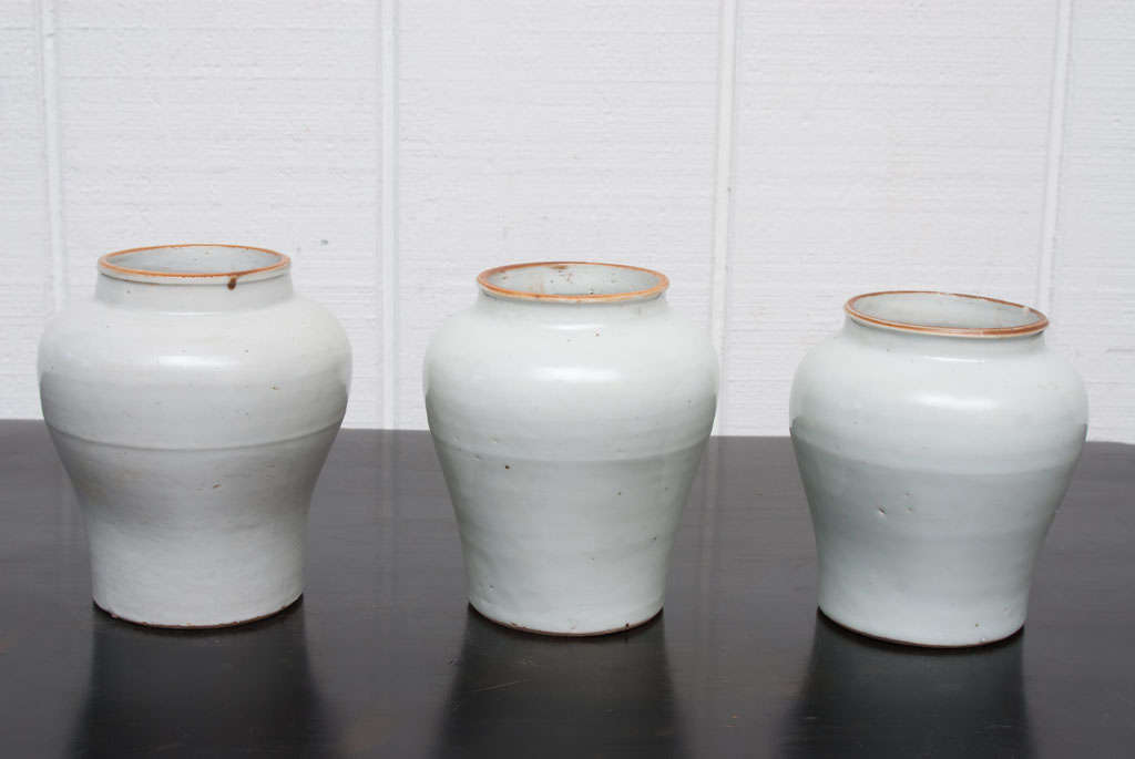 Set of 3 Ming Dynasty (17th Century) White Glaze Ceramic Medicine Jars.