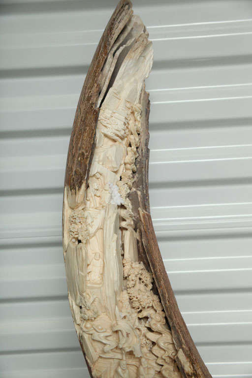 Ivory Carved Mammouth Tusk