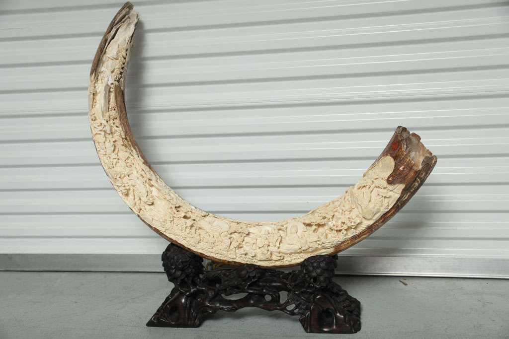 Carve Mammouth tusk - intricate carvings of Chinese figures<br />
Sixty inches outside curve
