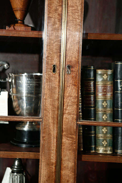 19th Century 1840s English Mahogany Secretary Bookcase