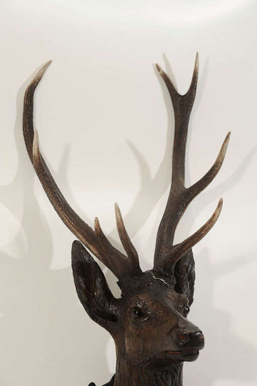 German Carved Deer Head Mounted on Custom Wood Plaque