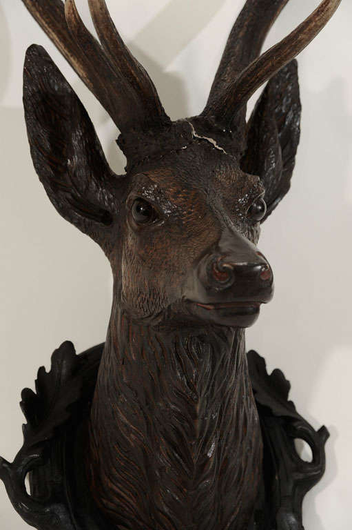 Carved Deer Head Mounted on Custom Wood Plaque 1