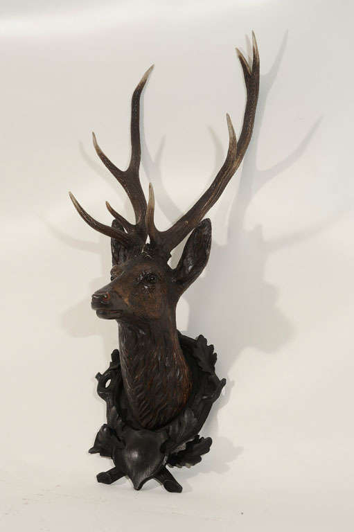 Carved Deer Head Mounted on Custom Wood Plaque 2