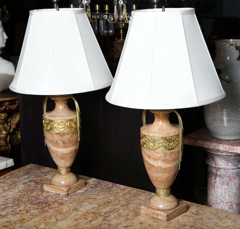 Rare Pair of onyx & gilt bronze urn lamps with dore bronze floral motif banding & side handles-