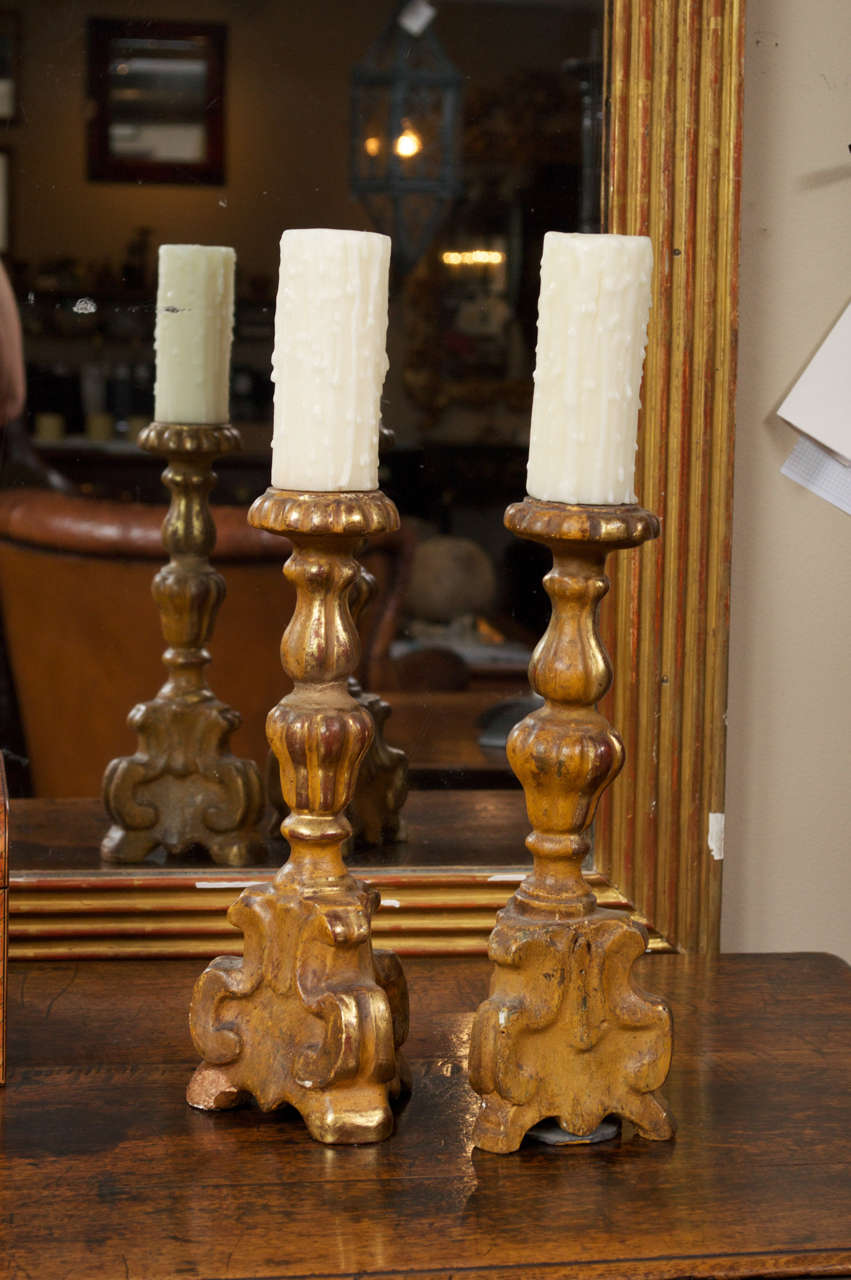 Pair of Small-Scale Carved Giltwood Candlesticks, French, circa 1780 For Sale 1