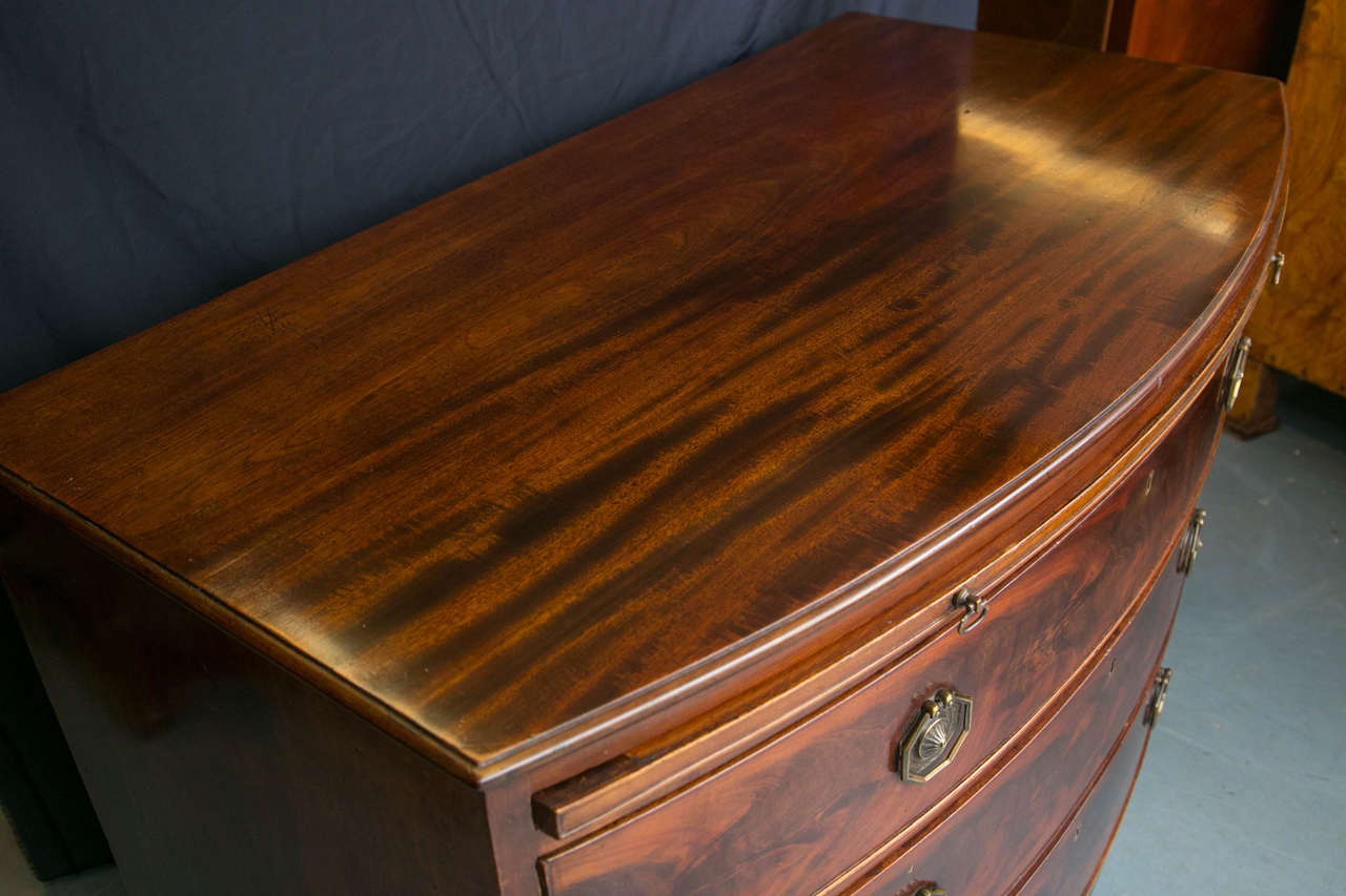British Mahogany Bow Front Chest of Drawers