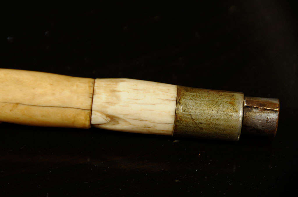 Carved Bone Walking Stick 3