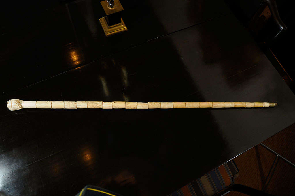 an Anglo-Indian carved bone walking stick with a lion's head top, a dead musk ox dangles from the lion's mouth<br />
<br />
British Colonial India