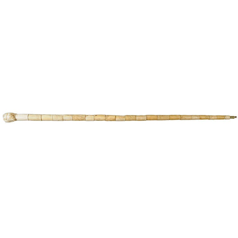 Carved Bone Walking Stick