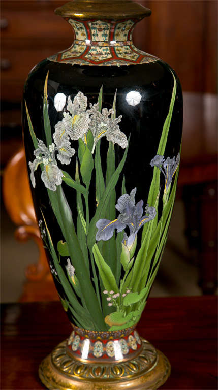 Une belle paire de lampes japonaises en cloisonné de la période Meiji, décorées d'iris et de muguet sur fond noir.  Décoration en haut et en bas des vases dans une multitude de couleurs.  Tout le travail de séparation est effectué dans un fil