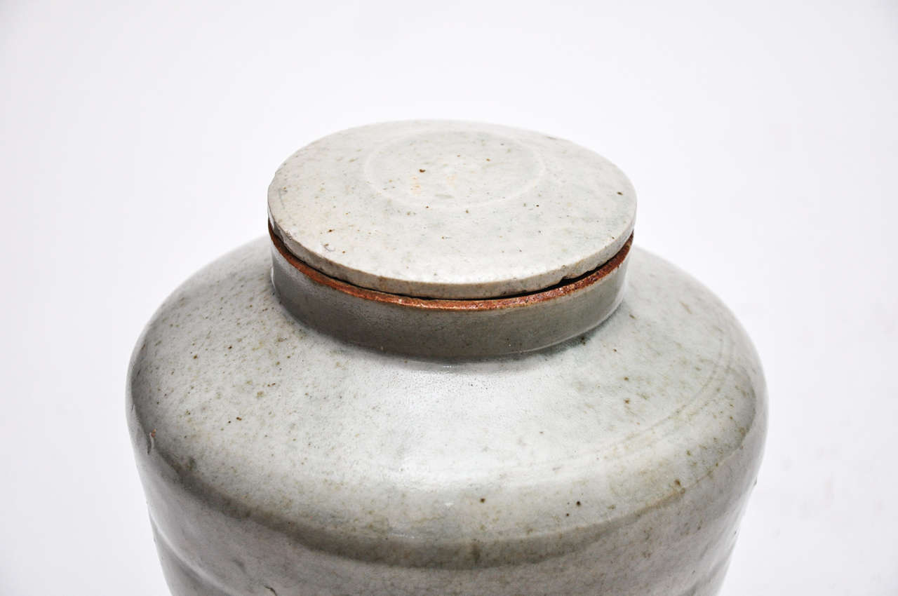 Chinese Ming Dynasty Apothecary Jar with Lid