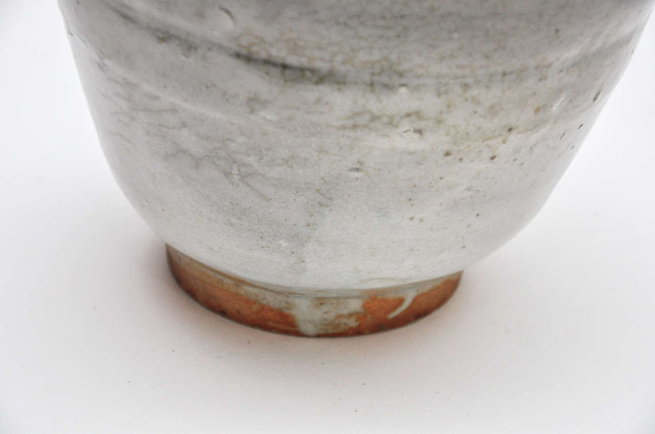 Ming Dynasty Apothecary Jar with Lid In Excellent Condition In Chicago, IL