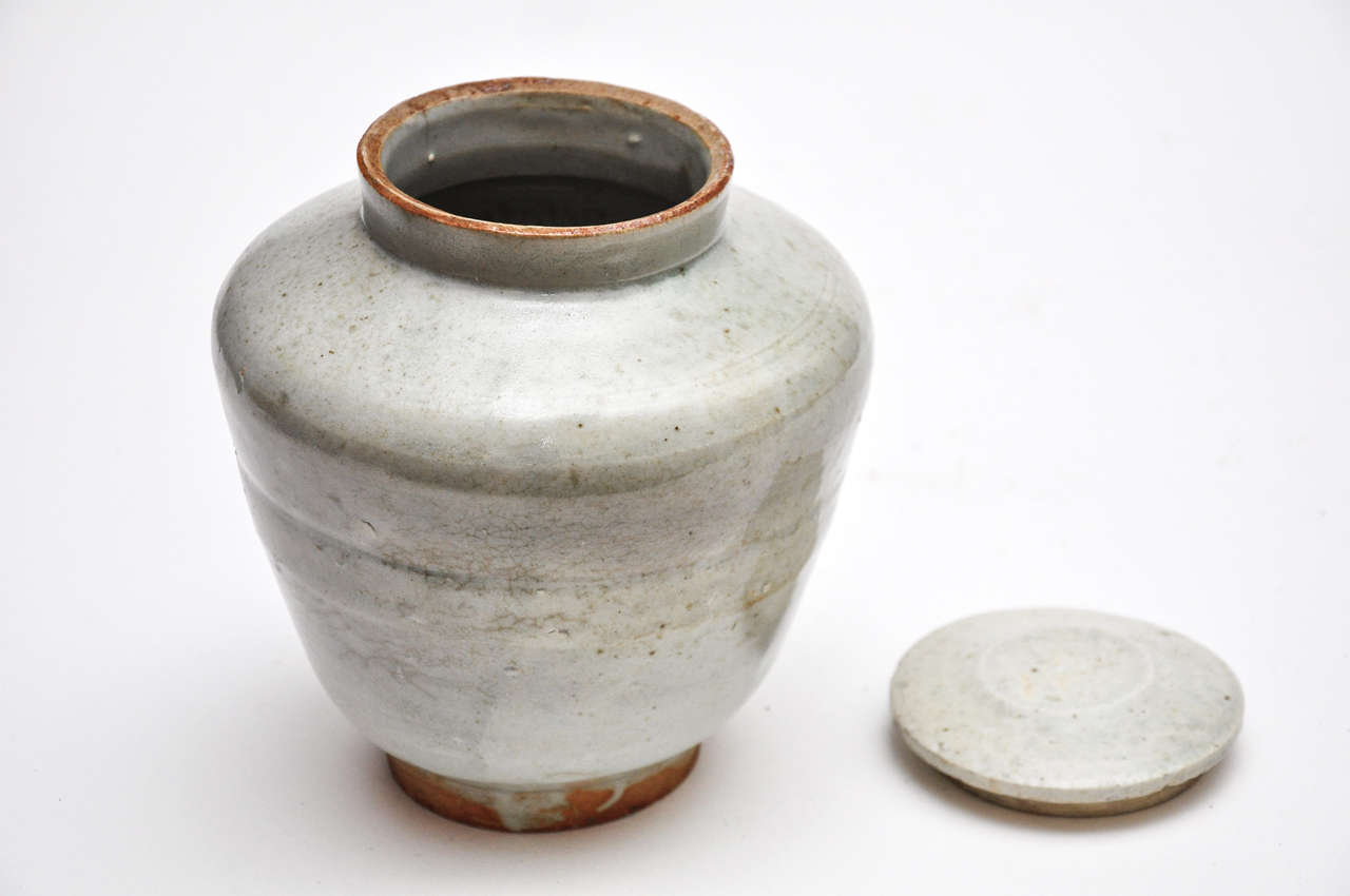 18th Century and Earlier Ming Dynasty Apothecary Jar with Lid