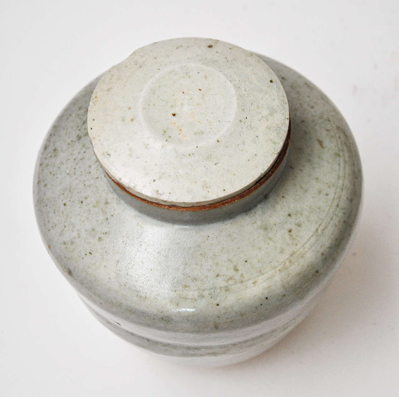 Ming Dynasty Apothecary Jar with Lid 1