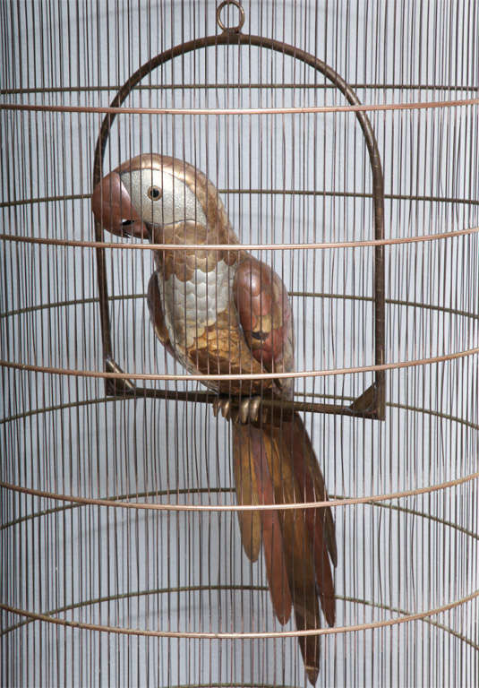 buy cages for parrots in red deer