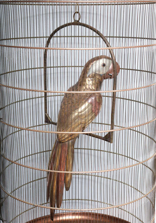 Giant Bustamante Parrot and Cage 1