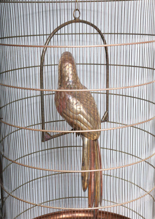 Giant Bustamante Parrot and Cage 2
