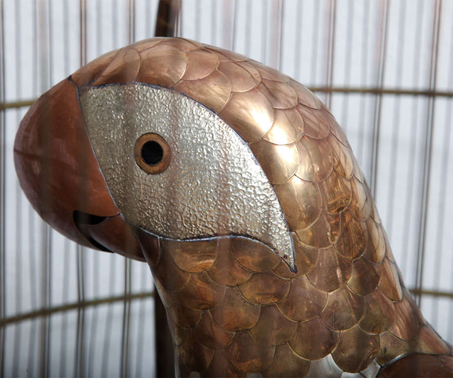 Giant Bustamante Parrot and Cage 3