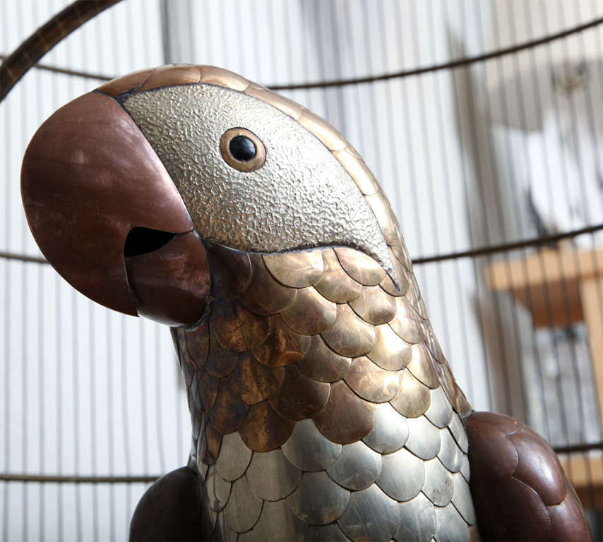 Giant Bustamante Parrot and Cage 4