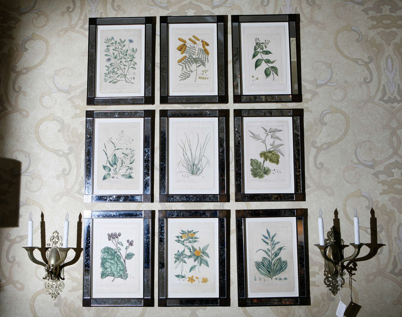 18th Century Hand Colored Etchings