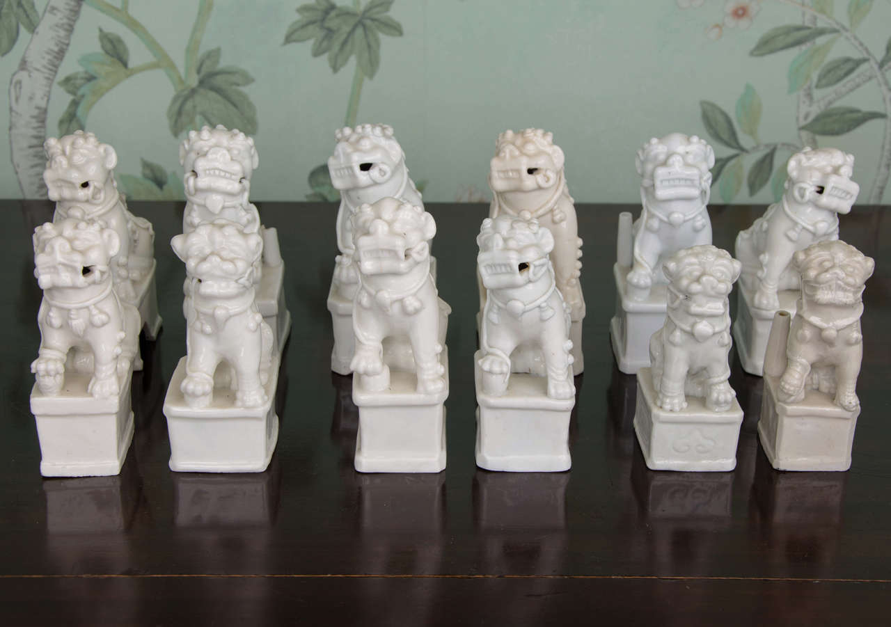 A collection of Chinese Dehua Blanc de Chine Foo dogs dating from the last quarter of the 17th century. Some are pairs and some singles all shown in alert stances with one arm resting on a ball, some have an incense stick holder to one side and all