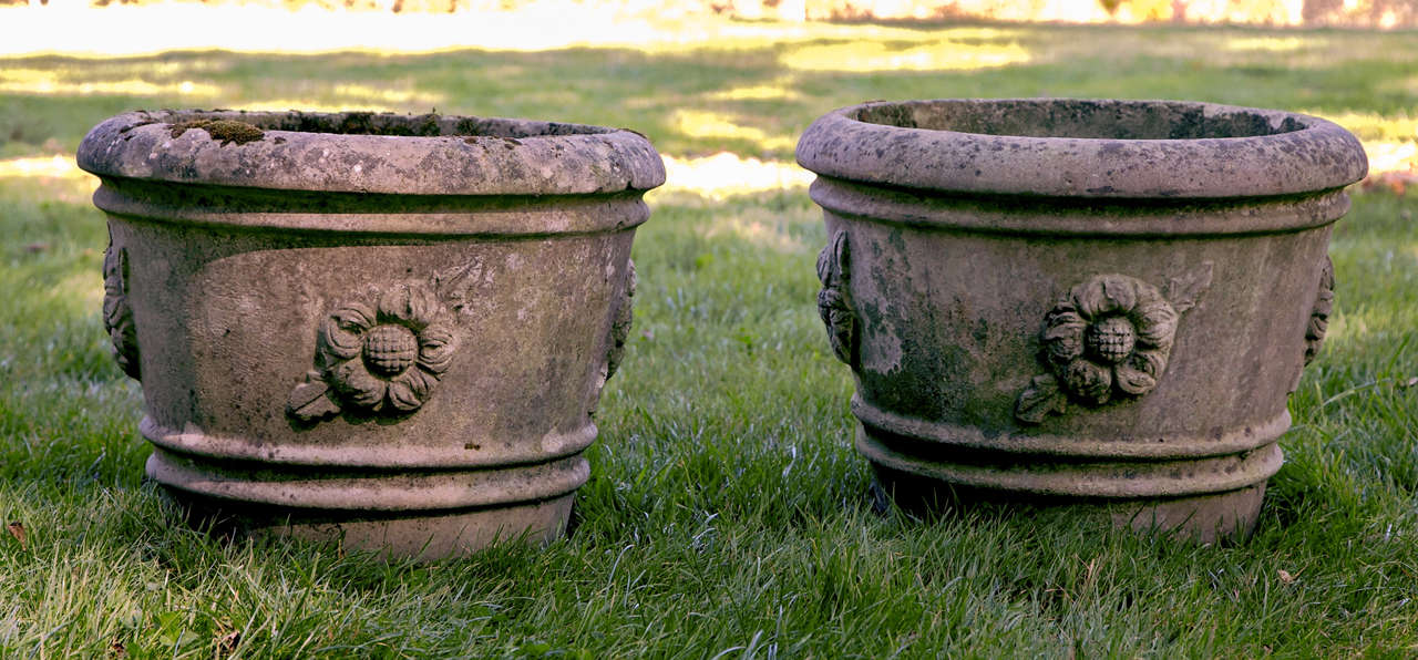 A mossy and lichened pair of composition stone planters with sunflower rosettes.