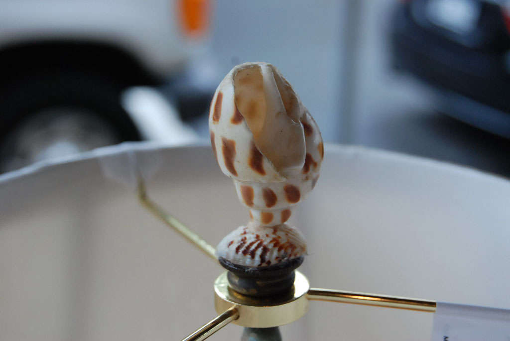 Lampe en forme de jarre à décor de coquillages et remplie Bon état - En vente à Hudson, NY