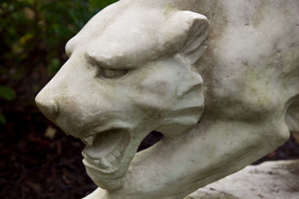 Carved Exceptional Marble Tiger