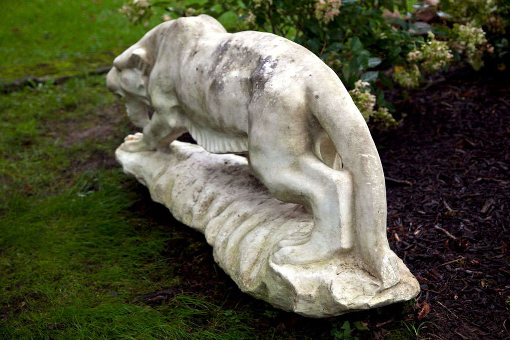 Exceptional Marble Tiger 3