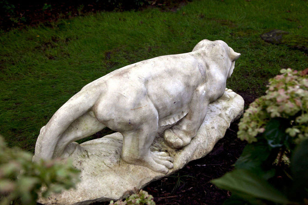 Exceptional Marble Tiger 4