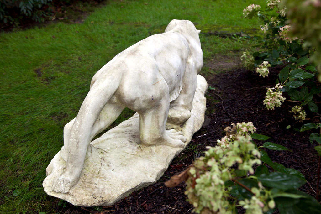 Exceptional Marble Tiger 5