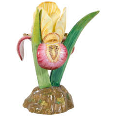 Outstanding Porcelain Iris, circa 1820