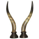Pair of Anglo-Indian Ceremonial Horns