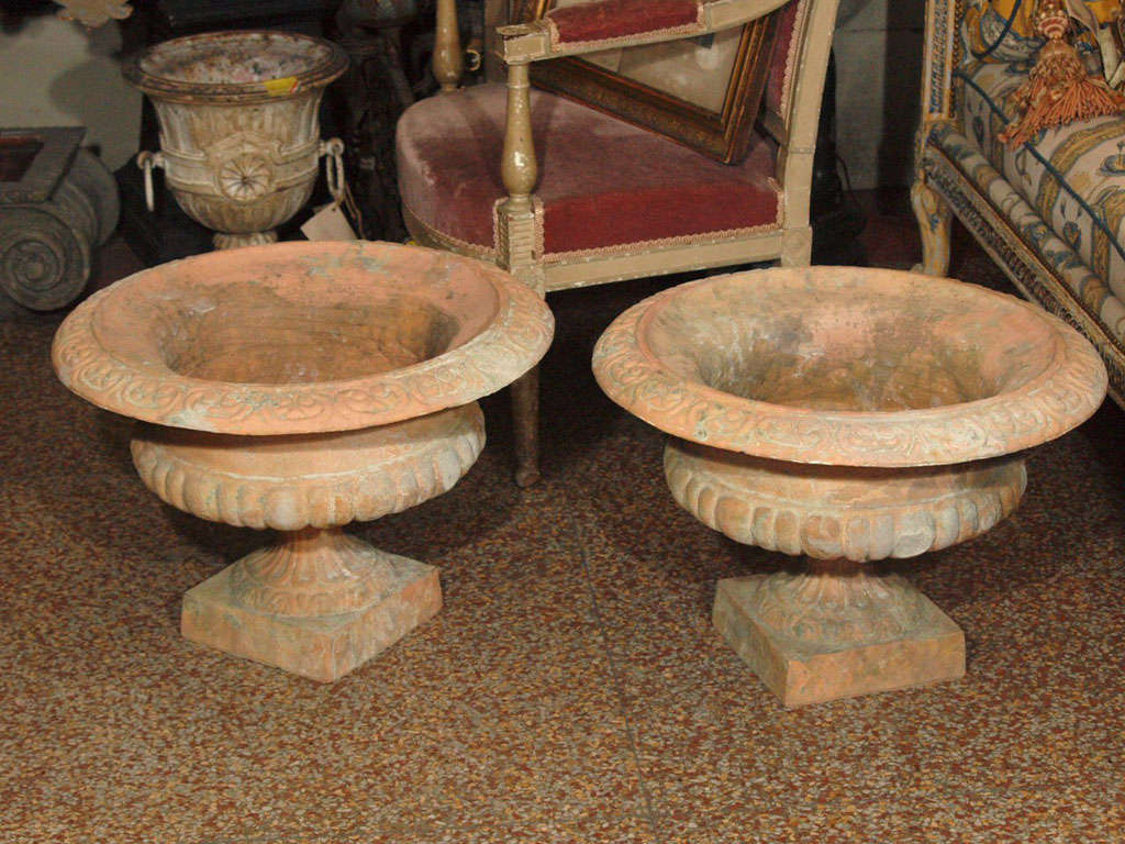 Pair of Terra Cotta Urns