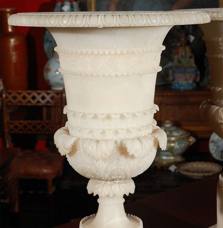 Neoclassical Urns
