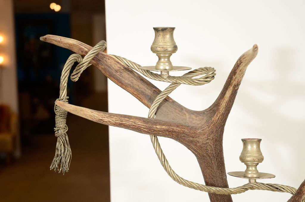 English Antler Candelabra by Anthony Redmile